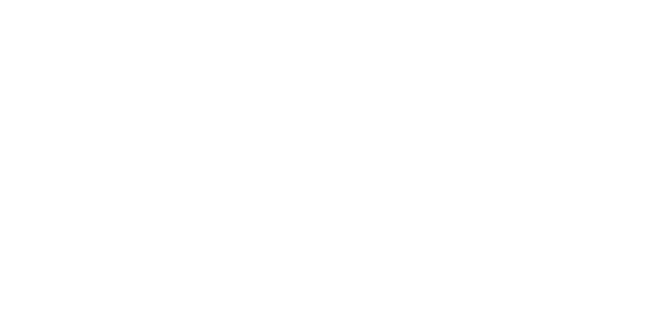 골드넷 솔루션 logo